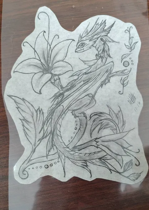 Pencil drawing on tracing paper of a dragon curled among lilies and leaves