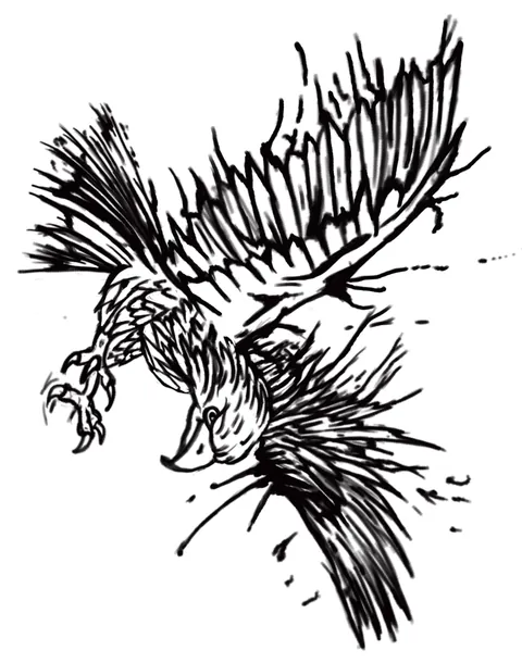 Bold brush drawing of an eagle diving with its talons out