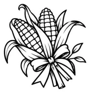 Flash line drawing of two ears of corn tied with a ribbon