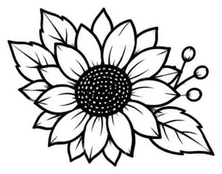 Flash line drawing of a sunflower with leaves and berries