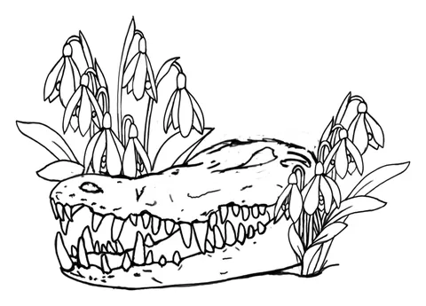 Line drawing of an alligator skull with snowdrop flowers growing behind it