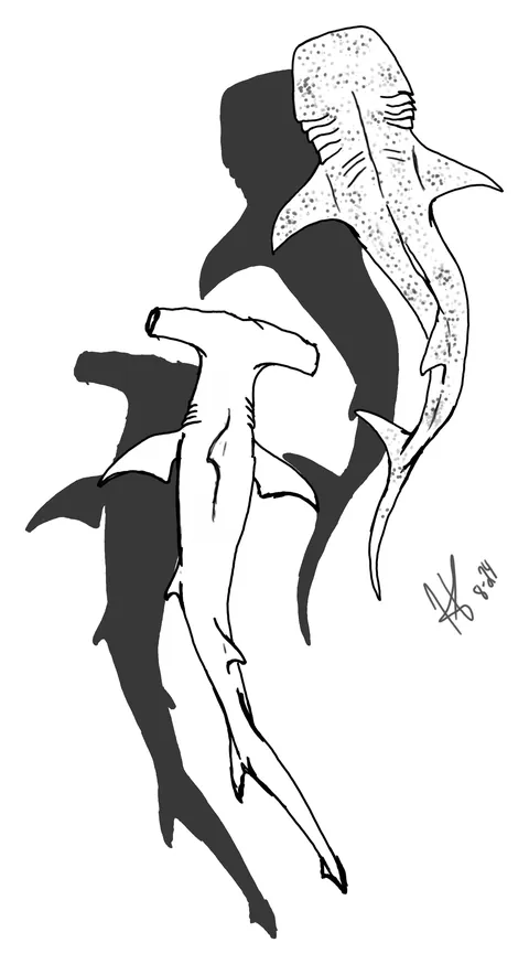 Solid black drawing of two hammerhead sharks swimming