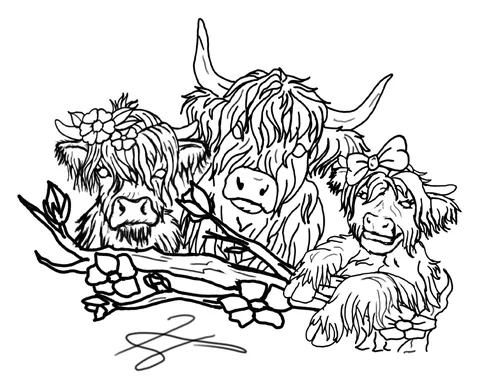Line drawing of three highland cattle behind a branch of flowers