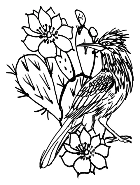 Line drawing of a roadrunner perched on a prickly pear in bloom