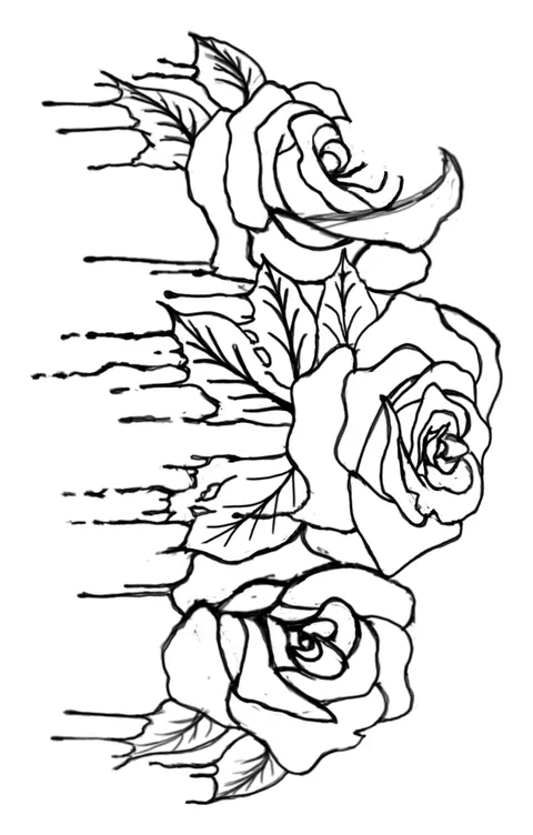 Line drawing of three roses in front of straight rays