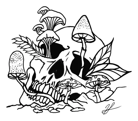 Line drawing of a skull with mushrooms and leaves growing out of it