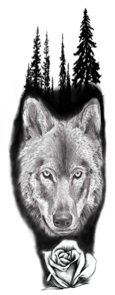 Shaded drawing of a wolf with a pine forest across its head and a rose beneath