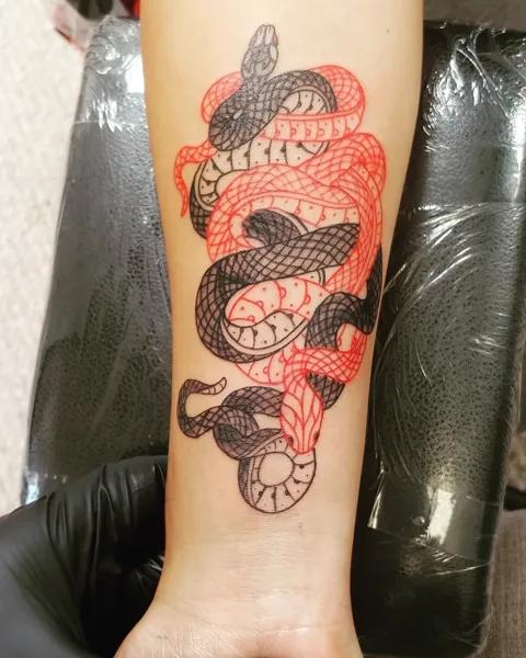A black snake wrapped in a red snake down the forearm