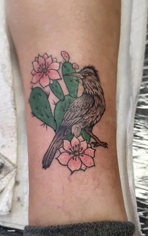 Prickly pear cactus with pink blooms and a quail, in color