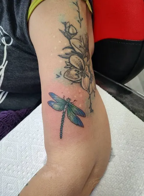 Dragonfly beneath a branch of blossoms on the arm, in color