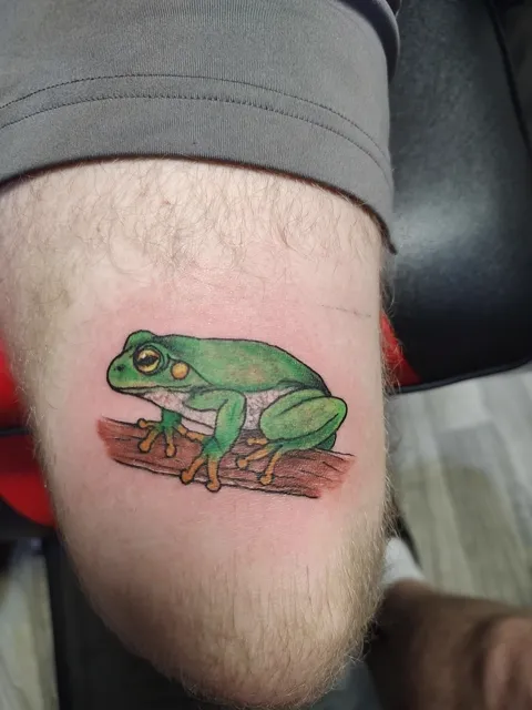 A green tree frog on a branch on the leg, in color