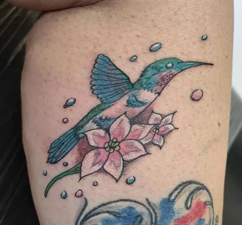 A hummingbird with pink flowers, in color
