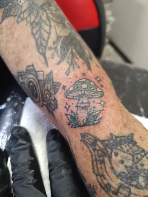 A small mushroom with stars between older pieces on the arm, in color