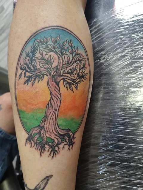 A tree of life in an oval over a sunset on the calf, in color